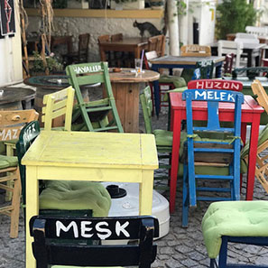 Duyguyu Beslemek